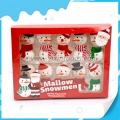 guimauve en forme de bonhomme de neige dans une boîte 