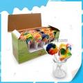 15 g de bonbons sucettes aux couleurs de l'arc-en-ciel et aux fleurs tourbillonnantes assorties 