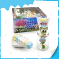 Bonbon mou aux fruits en forme de fleur, guimauve 